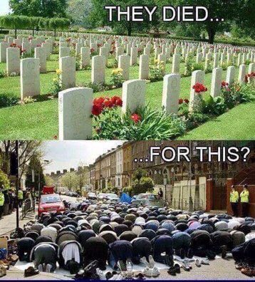 Broadsword21579's tweet photo. @rexglacer @BobMakenzie1 Need I say more imo? https://t.co/P3lwt6O6aB