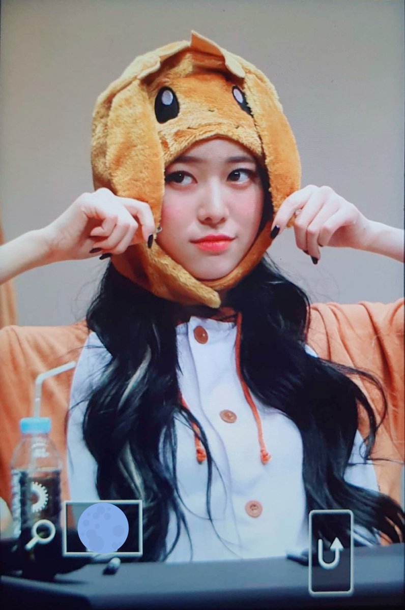 Jane_971220's tweet photo. 200112 [미리보기] 대방 팬사인회 (2)

#모모랜드 #제인 #MOMOLAND #JANE @MMLD_Official https://t.co/Lp2ahb6kqL