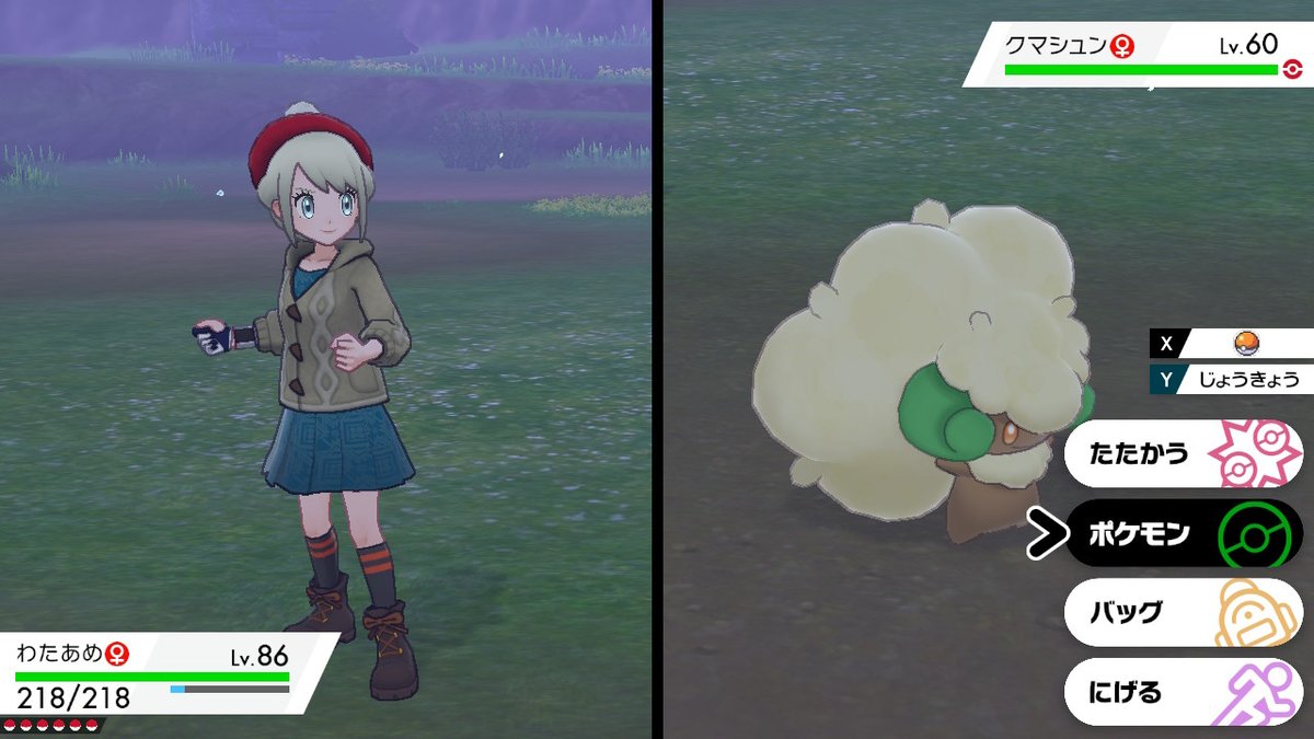 ヒナシ على تويتر ポケモン剣盾 Nintendoswitch ポケモンの主人公が可愛くて着せ替えヘアアレンジが楽しい