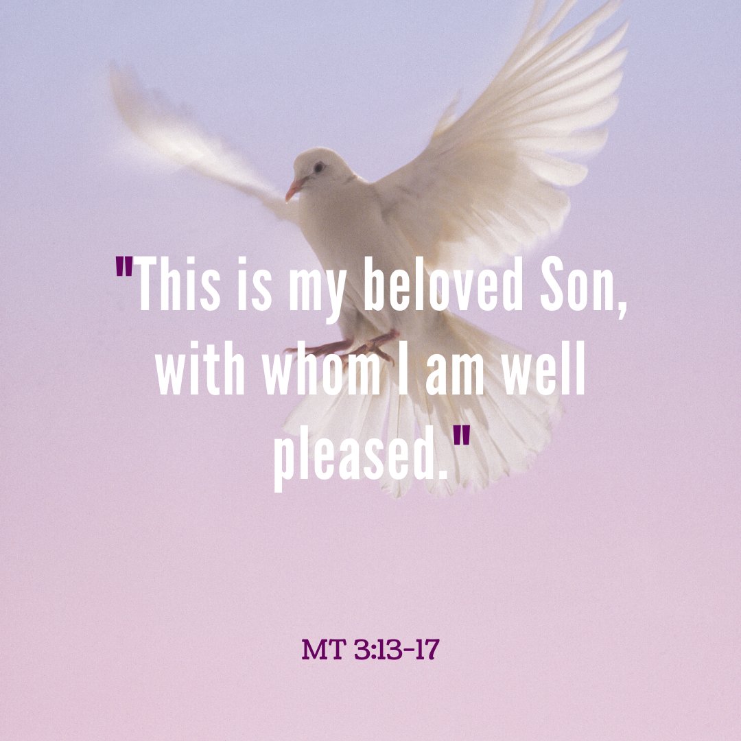 SyracuseYouth's tweet photo. Today we celebrate the Baptism of the Lord. Take time today to renew your baptismal promises.
https://t.co/IwzcBepkQU
#gospel #sonoffgod #baptism #baptismalpromises https://t.co/1cZ90iAVS3