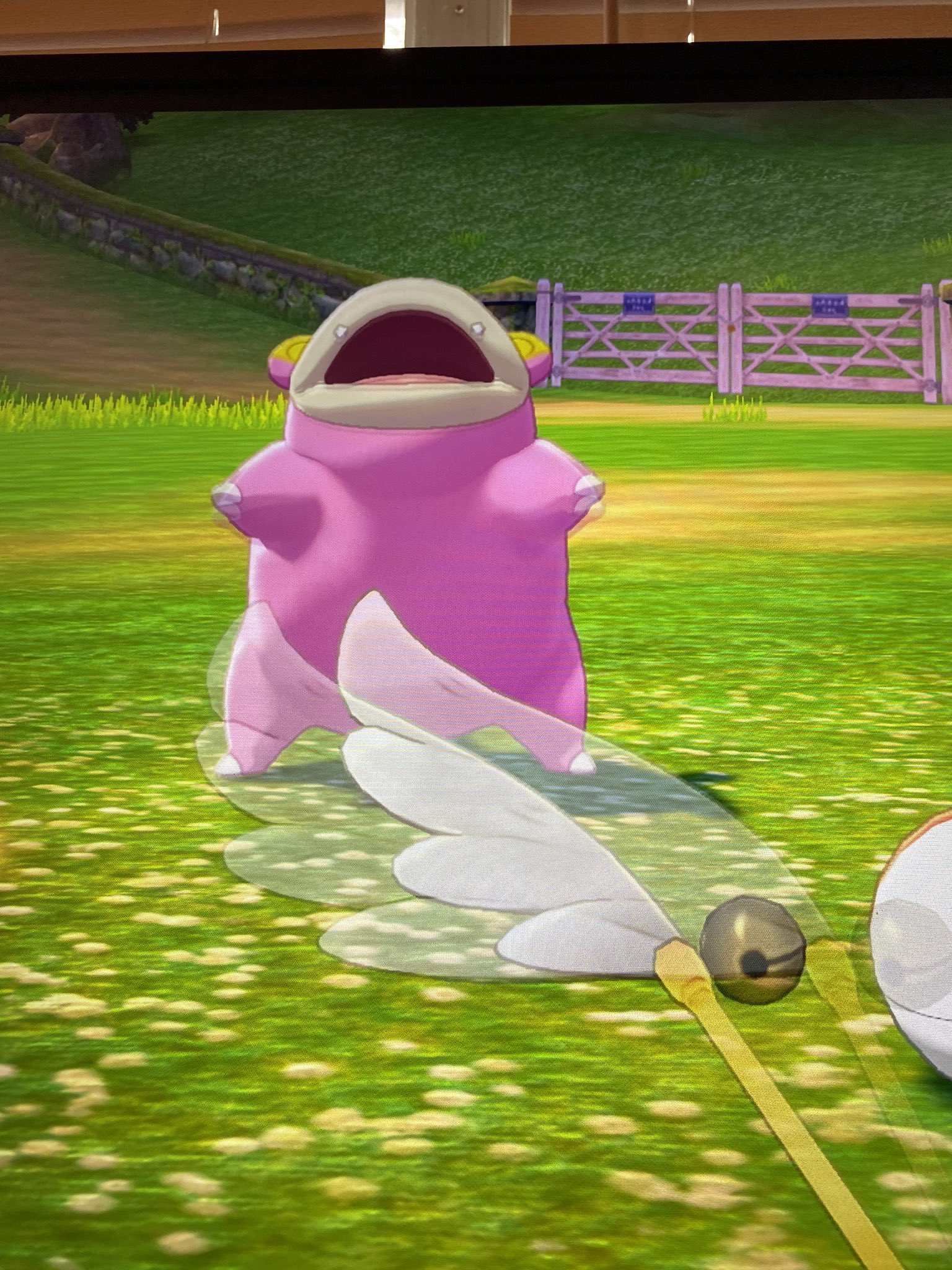  Happy Birthday. Thank you so much for all of your hard work 