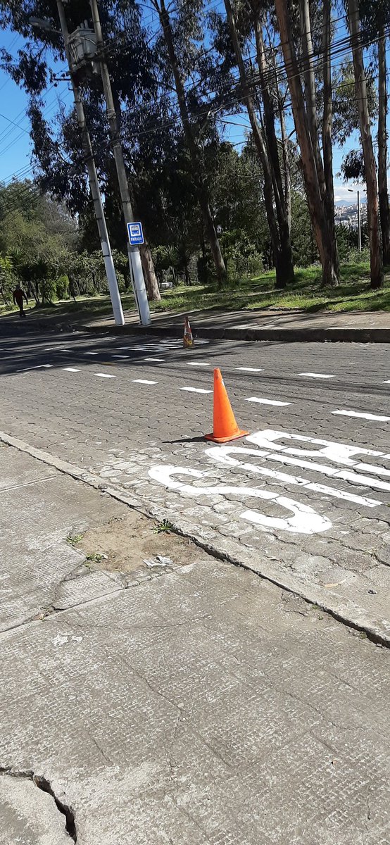 <a href="/LandazuriG/">Juan P</a> <a href="/LoroHomero/">Jorge Yunda Machado</a> <a href="/MunicipioQuito/">Municipio de Quito</a> <a href="/renebedon/">René Bedón</a> <a href="/santiguarderas/">Santiago Guarderas</a> En urbanización Pinar Alto. Calle de máximo 6 metros, residencial, parque donde juegan niños, alta carga de tráfico y sin estudio alguno quieren colocar una línea de bus. Sin sentido alguno.