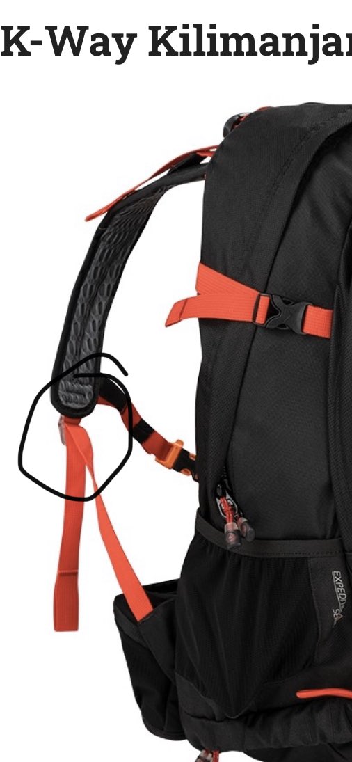 Gavin Dace tweet media