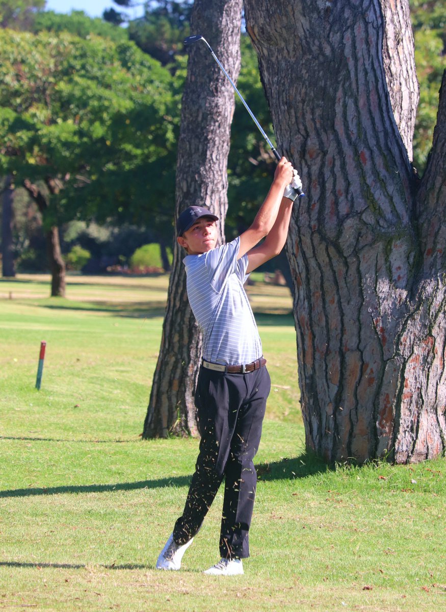 Douglas Carew tweet media