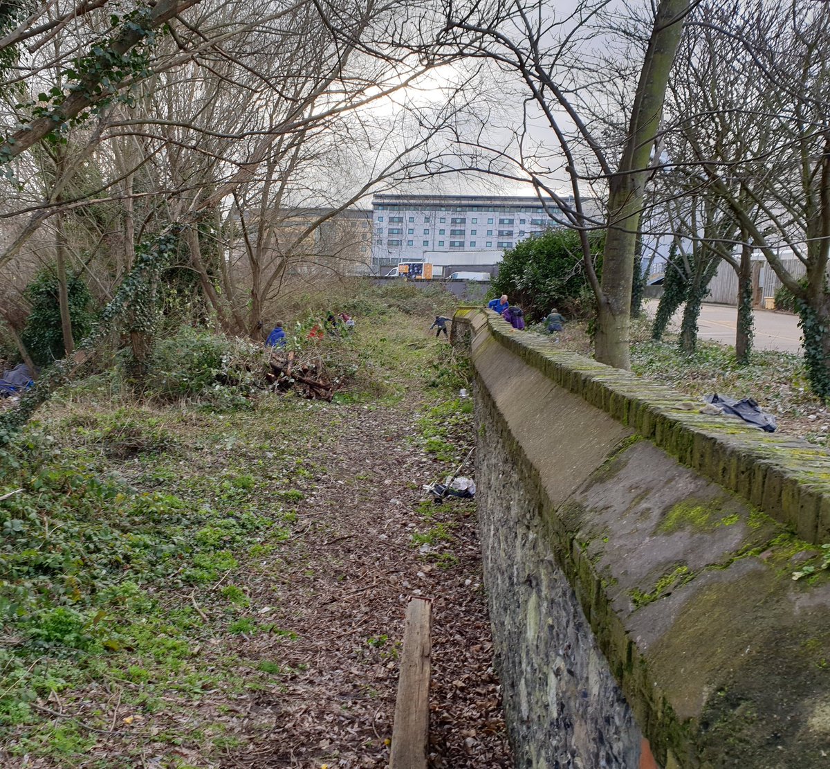 #HappyBirthdayNT at a site with a connection to one of the founders of the <a href="/nationaltrust/">National Trust</a>. Working with the urban rangers and @LWMNTV volunteers at Merton Priory Wall today. Octavia Hill was part of a committee that gave this site to the NT in 1911.
