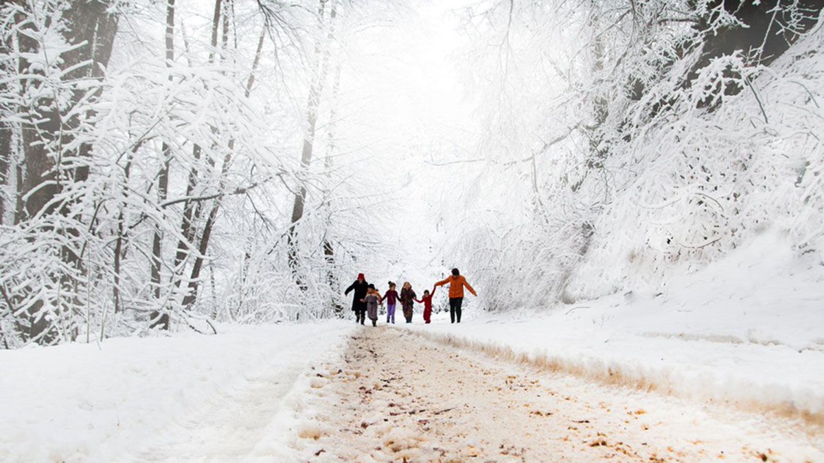 vancouverguide's tweet photo. Family Fun In Vancouver - Vancouver B.C. 

https://t.co/GNo6jfYmZO

After reviewing over 20 different Vancouver attractions we chose our absolute 10 favourite family-friendly venues.

#Vancouver #VancouverBC #ToDoInVancouver https://t.co/Z6a0C3rzJO