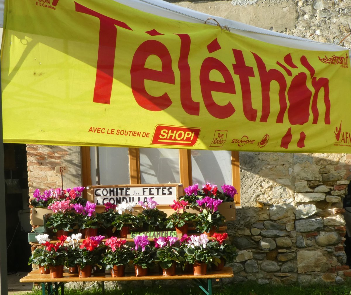ComiteCondillac's tweet photo. Téléthon 2019 – vente de cyclamens

https://t.co/WjpQudvDSI https://t.co/F20rZ92xib