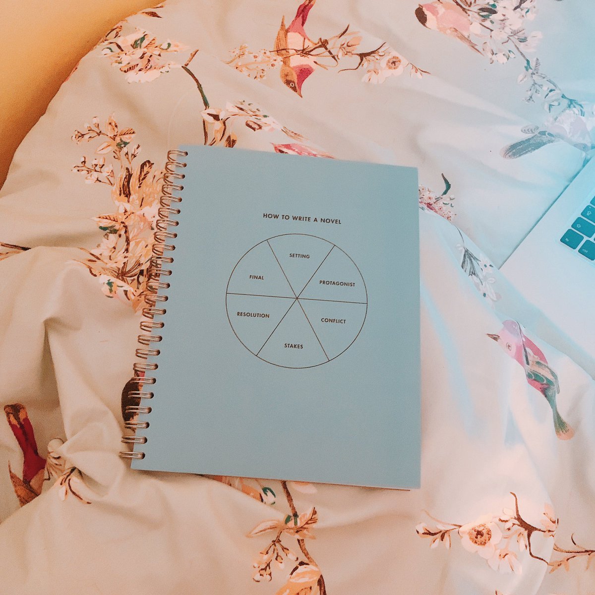 amylawtonmusic's tweet photo. My new notepad for songwriting, that also tells you how to write a novel 📝#sundaycreativity #happycreativesunday https://t.co/uvjKKsNY0y
