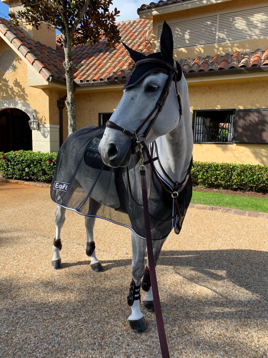 Customized in Red &amp; Black from 👂 to hoof. 
Custom D-Teq Boots 
Custom Double Trim EarBonnet 
Custom ImpacTeq Half Pad 
Essential Square Pad
Anatomical BellyGuard Girth 
#customlab #equifit #salvatore