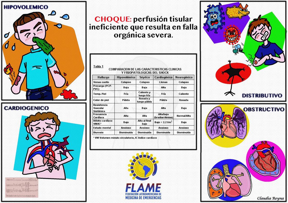 DARIO EDUARDO GARCIA (@darioeduardoga1) on Twitter photo 
