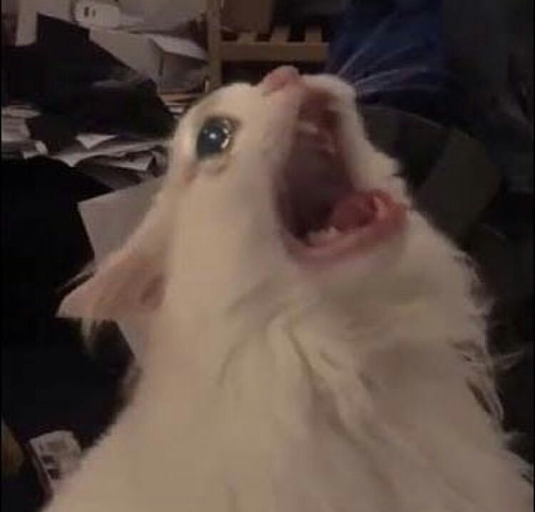 𝐀𝐒𝐓𝐇𝐎𝐑𝐈𝐀𝐍 IS 20! (@anotherhuffie) on Twitter photo 