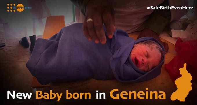 عرض الصورة على تويتر