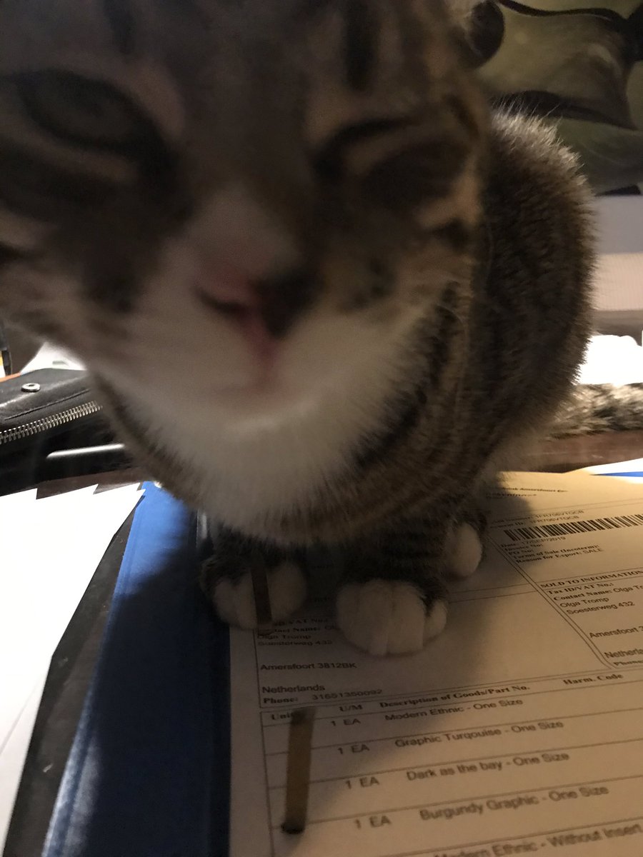 Deze gast neemt de #kwartaalboekhouding iets minder serieus dan ik! #vetteknipoog