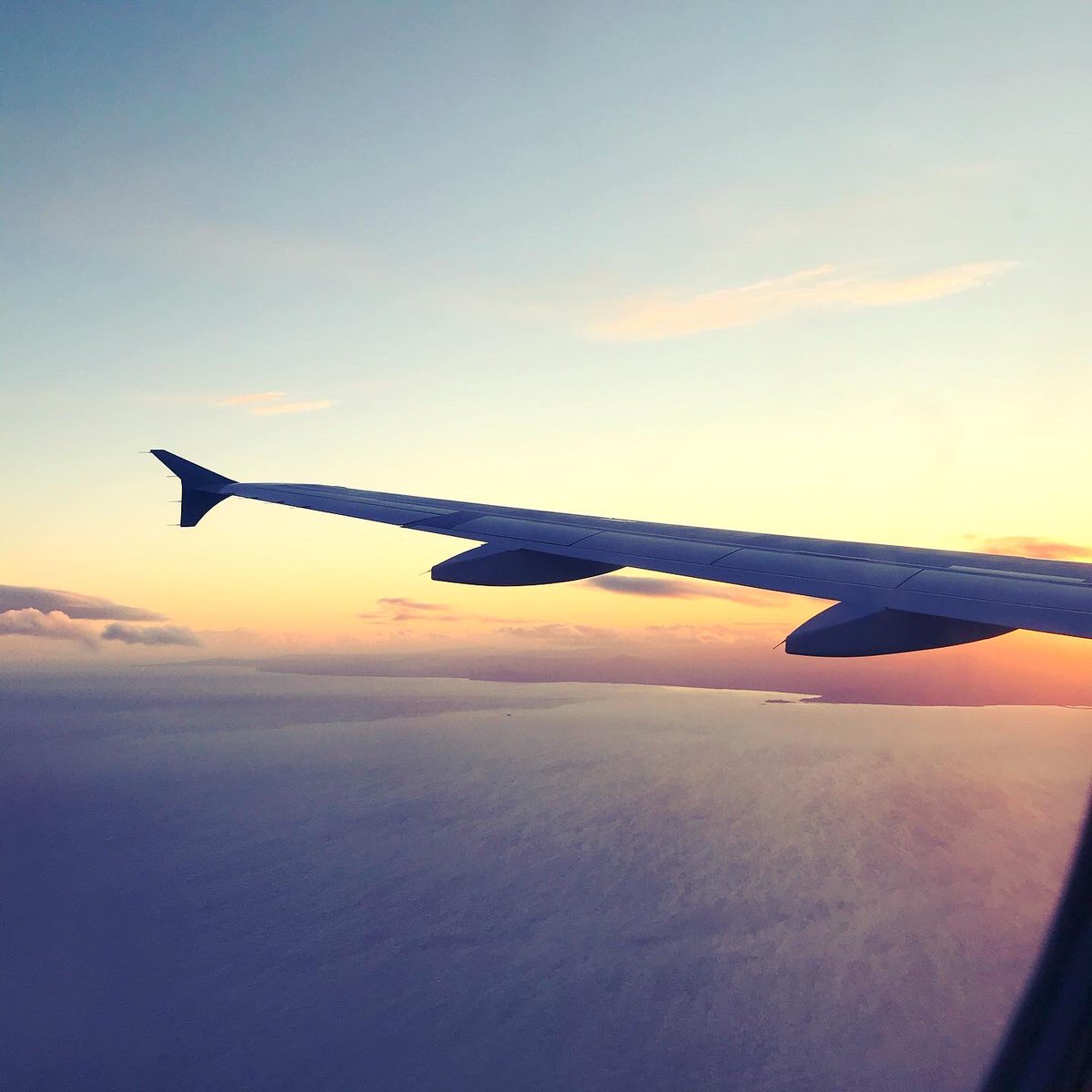 Hannah_Hannes's tweet photo. Home again. ๐งก๐ฎ๐ช #SpiritHome https://t.co/4d2rqZyLh9