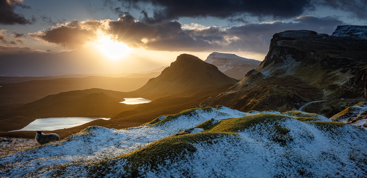 Marcus McAdam tweet media