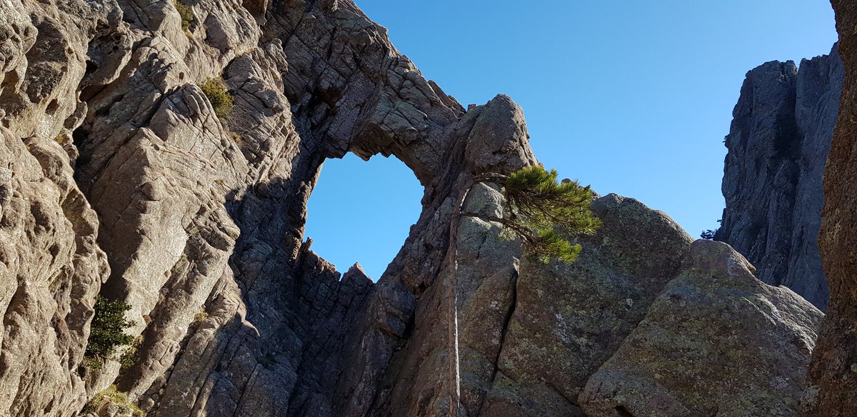 KarineLL_20's tweet image. Sur les hauteurs de Bavella...⛰🌳 #ColdeBavella 🏔 #TroudelaBombe #Montagnes #Corse 💙 #MagnifiqueCorse 📷 12.01.2020