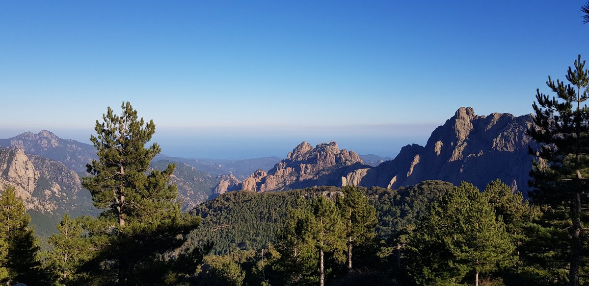 KarineLL_20's tweet image. Sur les hauteurs de Bavella...⛰🌳 #ColdeBavella 🏔 #TroudelaBombe #Montagnes #Corse 💙 #MagnifiqueCorse 📷 12.01.2020