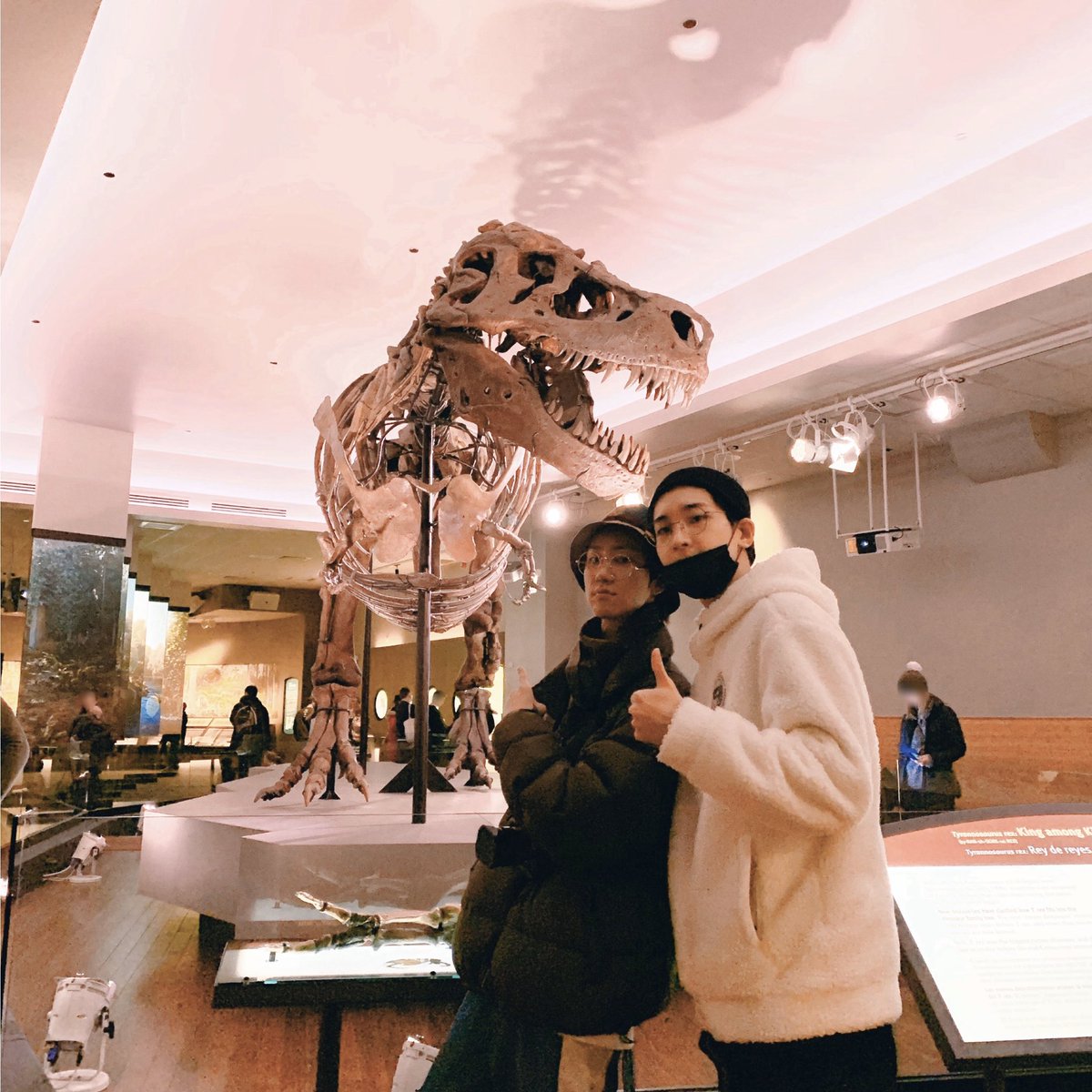 pledis_17 tweet picture