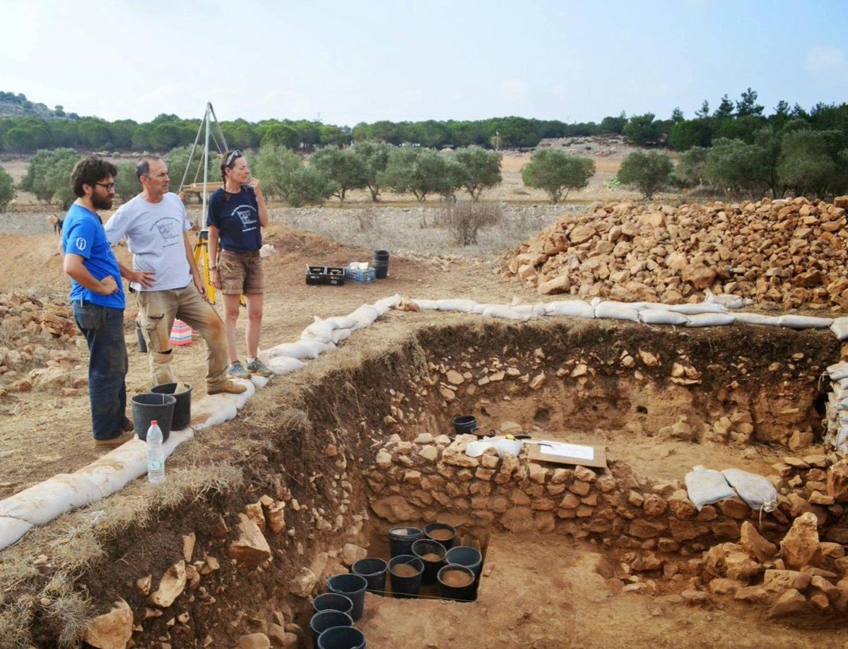 ymrowan's tweet photo. #archaeology31 Day 11 Friends forged in the field. Bonding over #Chalcolithic walls, floors and strata w @mokersel & @achiii at Marj Rabba @GalilPrehistory #somanyrocks Photo by @blair_heidkamp https://t.co/RpBCKGB1u7