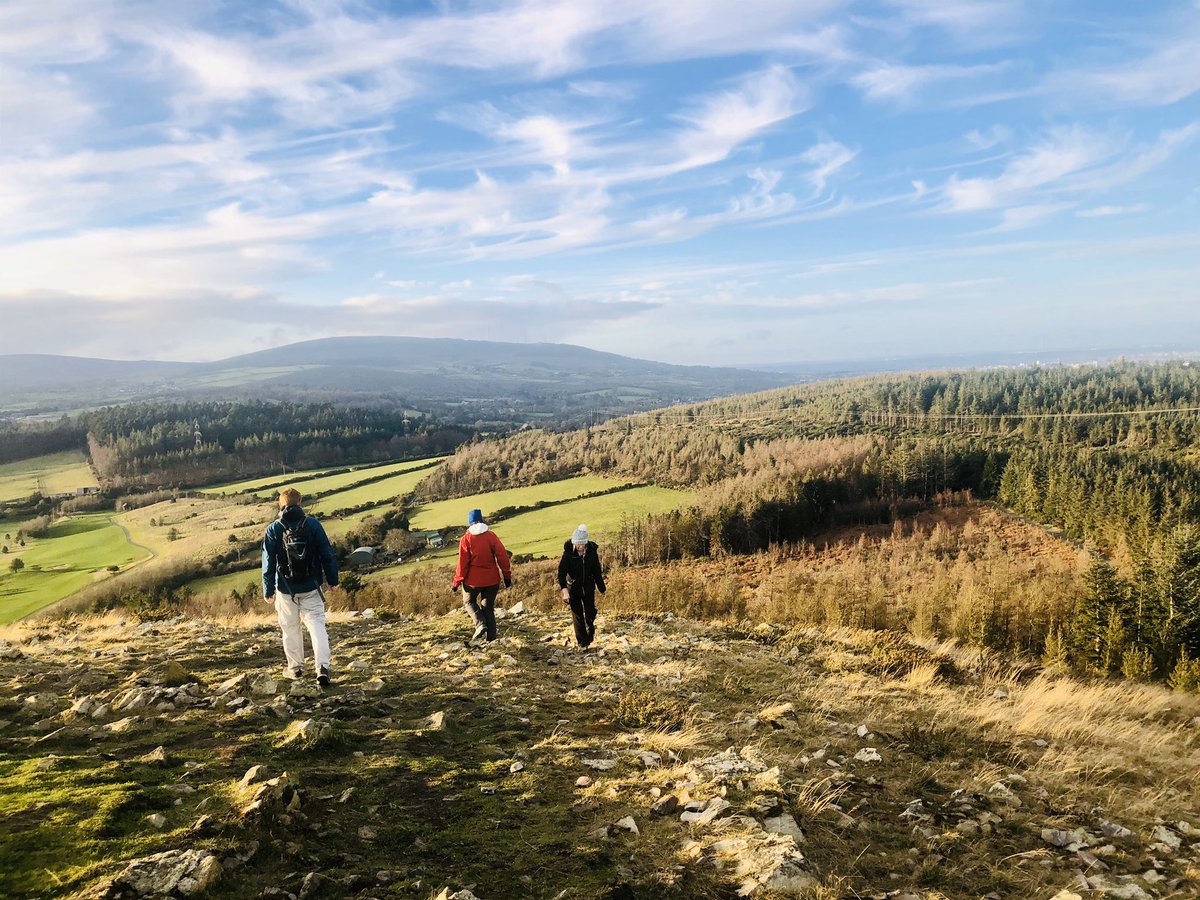gerardmurphy50's tweet photo. Trees and landscape recovering following the wildfire of 2018 in the Scalp/Balinaslingan forest area of @coilltenews. Amazing colours for this time of year. https://t.co/2sEmSG3x3k
