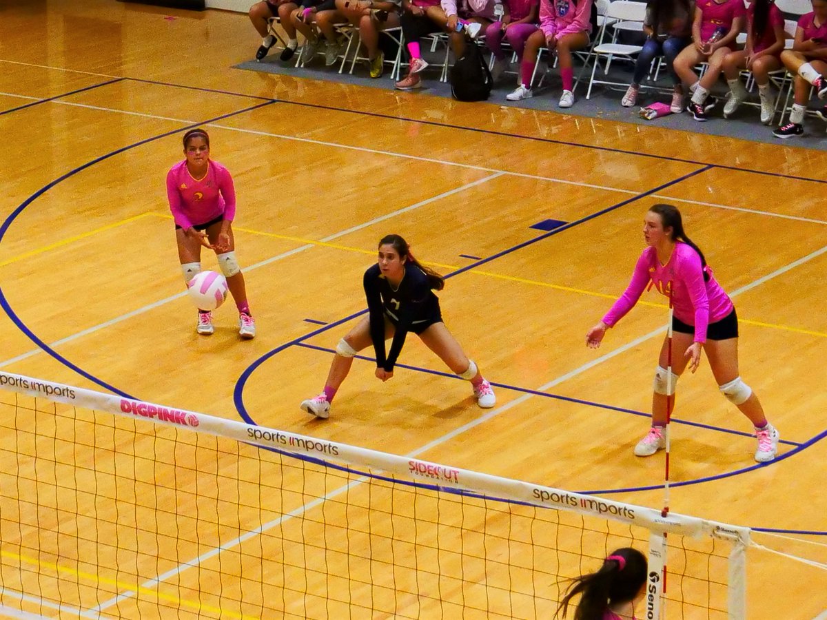 DigPink's tweet photo. Want to turn your digs into research dollars this club season? Your hustle on the court could change lives off the court by participating in the Dig-A-Thon. https://t.co/pPNNlg8jIy #DigIVThem #volleyball https://t.co/KBHMPBaSPK