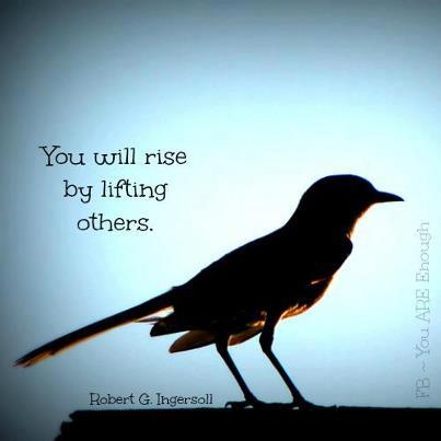 Wellness Institute tweet media