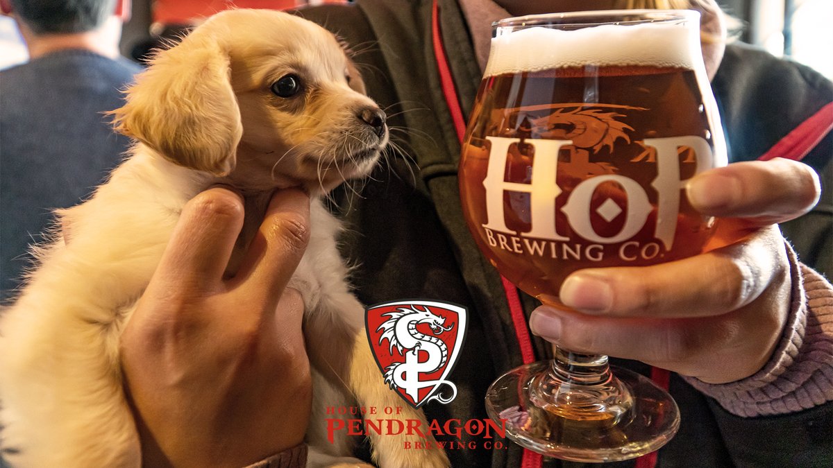 hopbeer's tweet photo. Why limit Yappy Hour to just one hour? Cheers to weekend and many more Yappy Hours! “Can I has just a sip mom?”  

Clovis Yappy Hour 12-3pm

#hopbeer #drinklocal  #beeranddogs 
#dogsofinstgram #sundayfunday  #yappyhour #dogfriendly #treatyoself  #clovis  #dogsontap https://t.co/LN4vV61Jwx