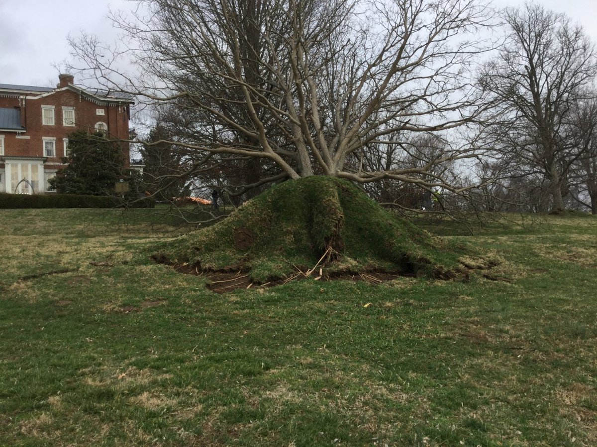 NWSLouisville's tweet photo. Preliminary NWS damage survey results for northern Madison and south Clark counties in Kentucky are straight line winds with max speeds 60-70 mph. This covers the White Hall Shrine Road and Boonesboro Road areas. Crews headed to Charlie Norris Road area now. #kywx https://t.co/OZHjzMogpP