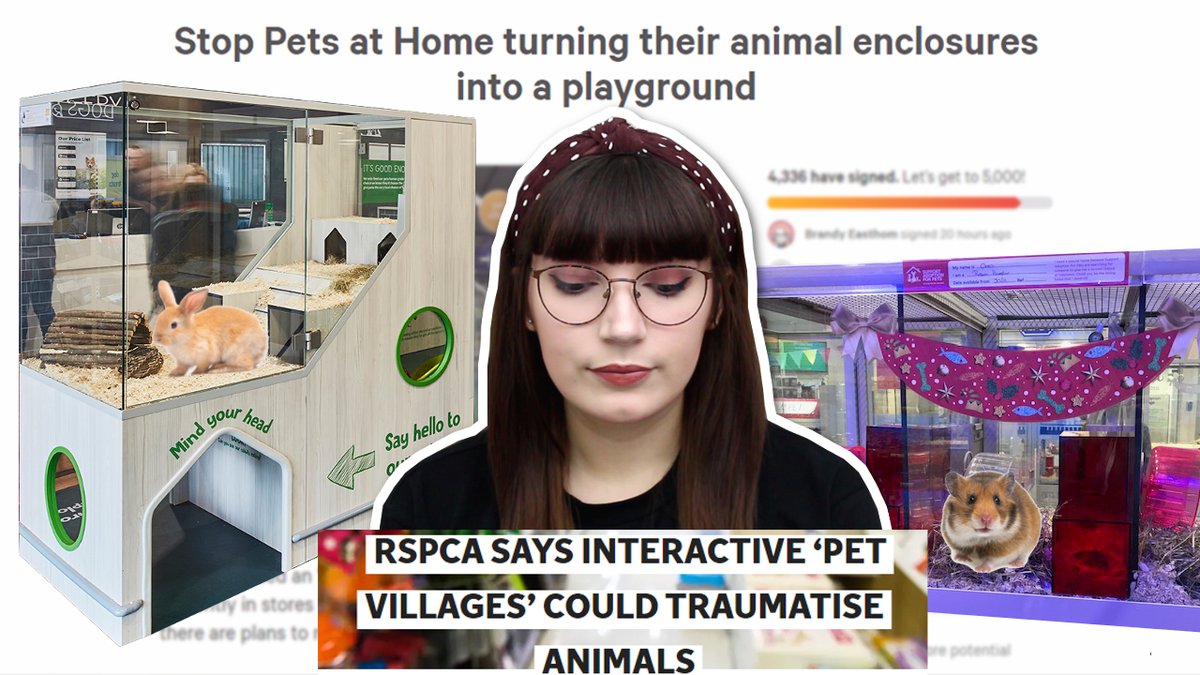 Emi_ology's tweet photo. Pets at Home... this isn't okay https://t.co/IE99ogbqMR https://t.co/zZOgSvzn1O
