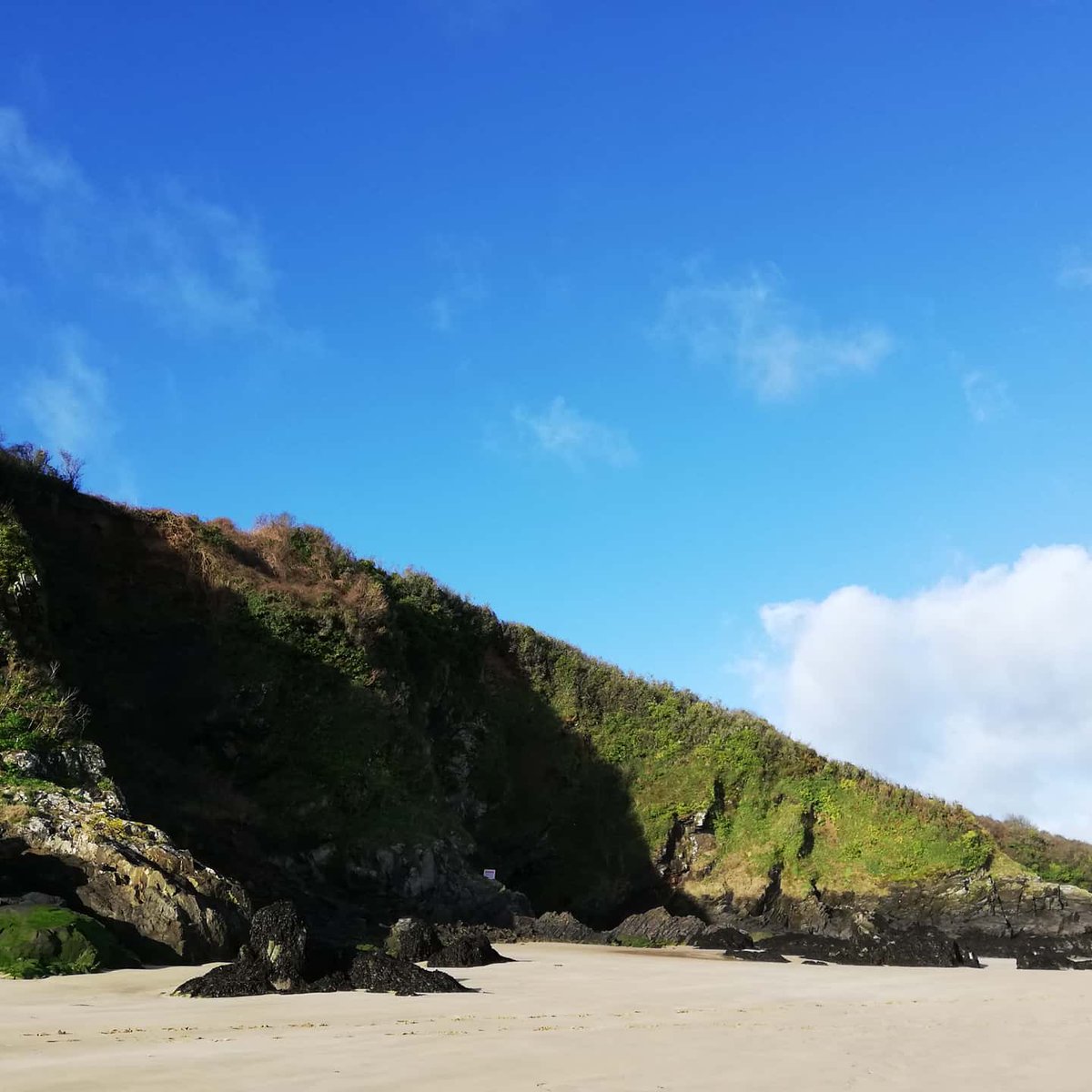 BibiPadstow's tweet photo. Today's blue skies over Padstow and Rock. 
What's not to love .
#SundayMorning 
#padstow
#walkbeforework
#bibi2020 
#bibipadstow https://t.co/UbG7QPR46M