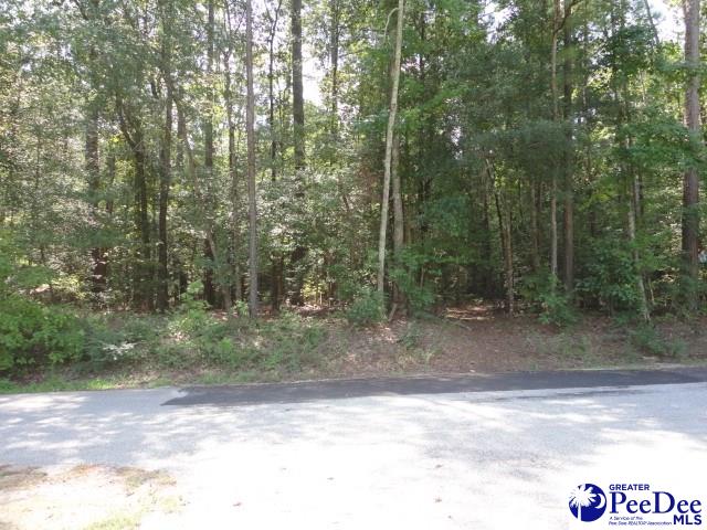 cb_mcmilllan's tweet photo. Check out our #listing in #Quinby #SC  #realestate #realtor https://t.co/q2Sm79diSa https://t.co/gyrGaSoeNY