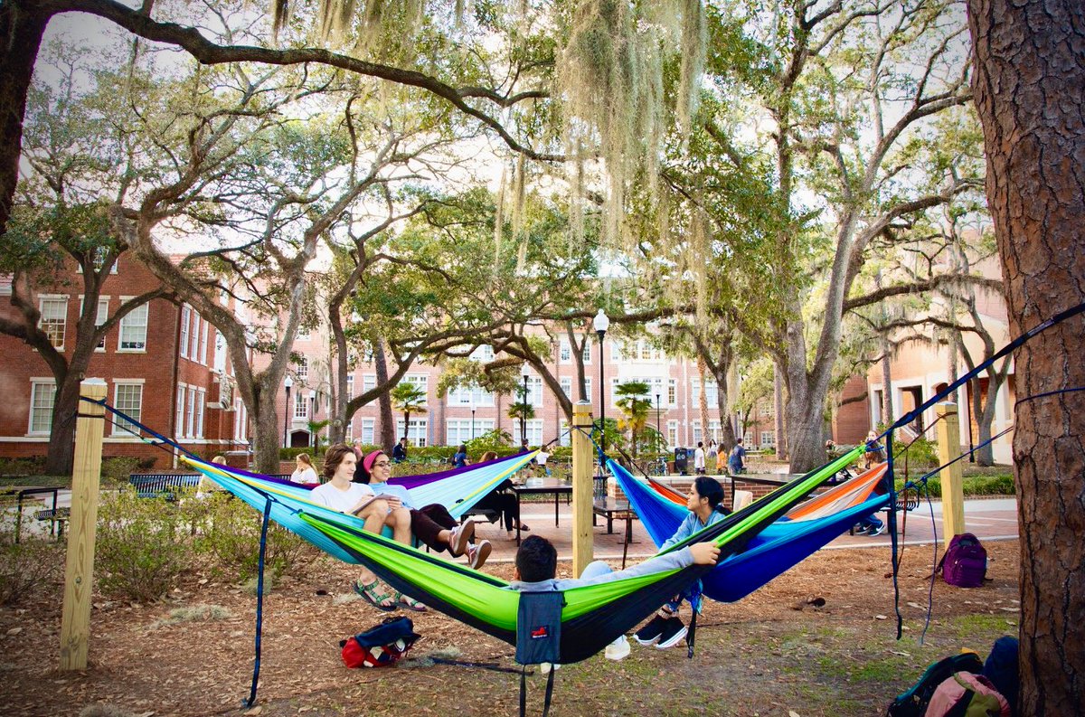 Three hammocks in Plaza of the Americas