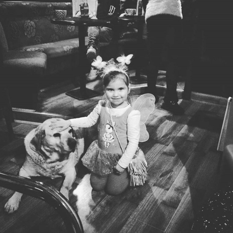 simonakuzner1's tweet photo. @simonakuzner1 
   #rogatec
  #tej
           #labrador https://t.co/CkV7nQRb6u