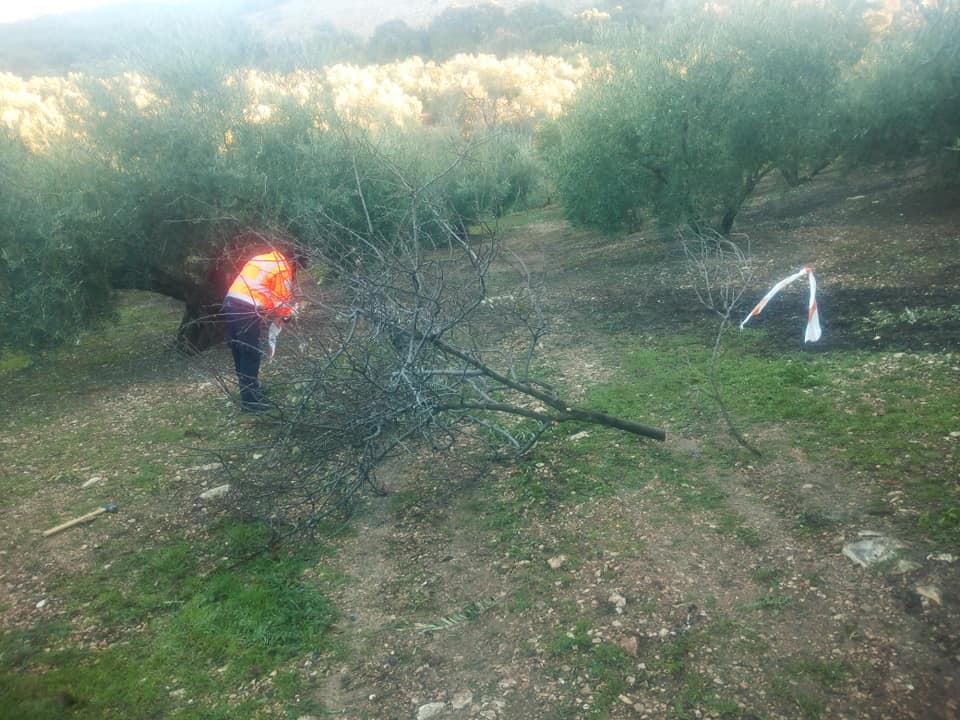 pcivil_cabra's tweet photo. Retomamos la localización y la datación de pozos (hoy 3) potencialmente peligrosos, con la colaboración de nuestro amigo y asesor de campo Manolo Gómez. Además en esta ocasión detectamos limitación de paso en finca con cable de acero, casi sin señalización, peligrosidad alta. https://t.co/kc58A8cOh4