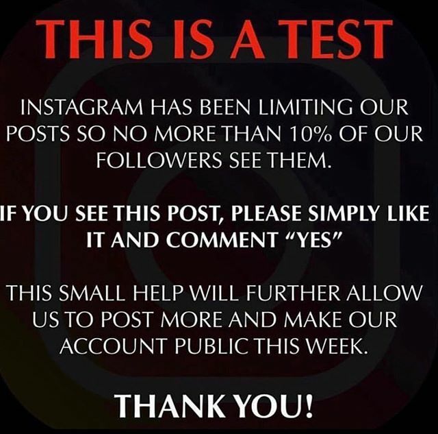 L3velsO's tweet photo. Definitely need your help ❤️ https://t.co/lzffuF7VU1 https://t.co/znJ9wEk3hp