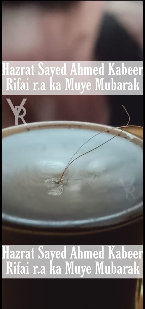 Ya_Refai's tweet photo. Hazrat Sayed Ahmed Kabeer Rifai r.a ka Muye Mubarak ❤❤❤

#yarefai #refai #yr #muyemubarak #❤❤❤ https://t.co/FsmEf0qnsn
