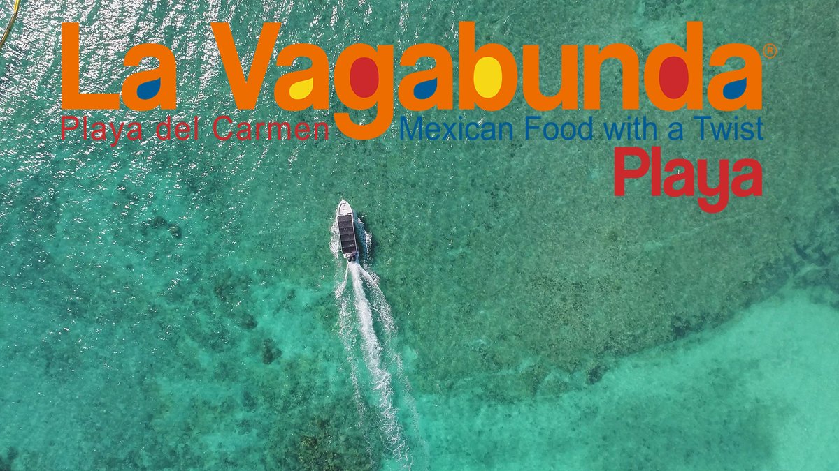 VagaPlaya's tweet photo. ¡Feliz domingo a todos! ¿Cómo planeas disfrutar de este hermoso día en Playa del Carmen?

Happy Sunday to everyone! How are you planning to enjoy this beautiful day in Playa del Carmen?
#buenavida #beachlife #winter #paradise #vacation https://t.co/92tQpgiQjw
