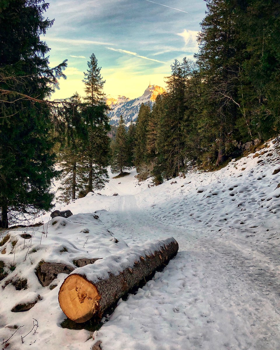 bergwelt_me's tweet photo. Zwischen #Plattenbödeli und #Bollenwees. Blick aus dem Rhodwald auf den Hohen Kasten.🌲🏔⛅️ #Alpstein #Winter #Sonntag #Ostschweiz #Wandern #Schweiz https://t.co/oqnvz6ouqp