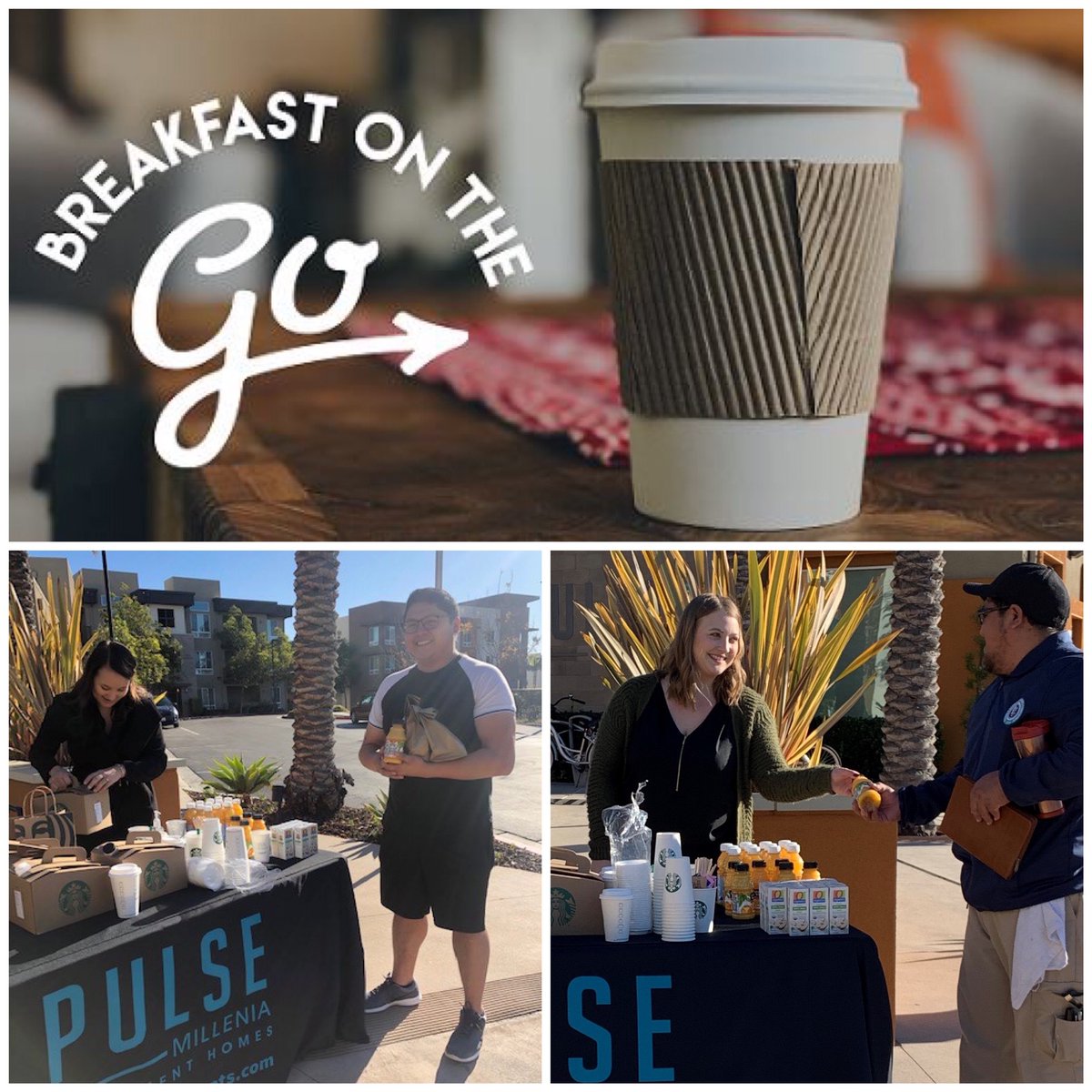PulseMillenia's tweet photo. Breakfast on the go was a success! We handed out over 70 baggies of delicious bagels and other breakfast snacks along with the choice of coffee or juice. Make sure to check out our bulletin boards around the community for our up coming events!
.
.
.
#Pulse #PulseMillenia... https://t.co/fhX0xSGy7u