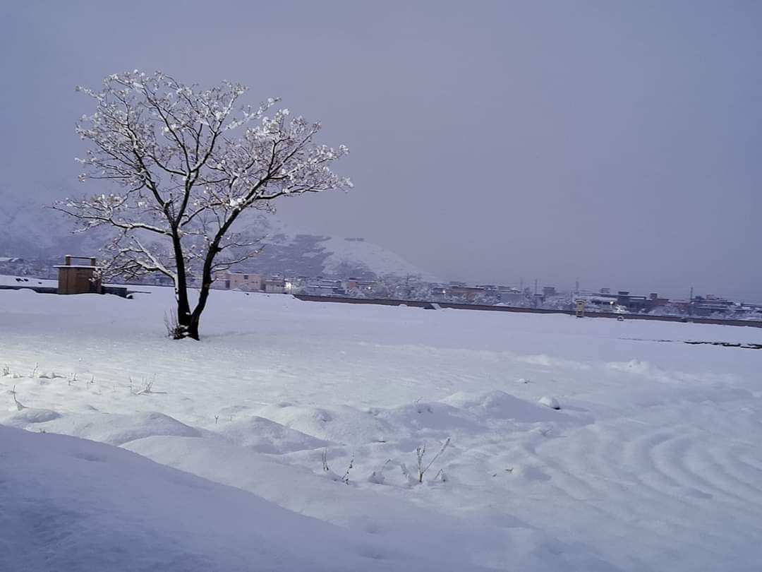 Babar_Sanjrani's tweet photo. Balochistan and Snow Look at that what a Wonderful Pictures..
#snowfallQuetta
@Pakistaninpics
@Tourism_In_PK
@PakistanNature
@balochparadise
@BeautyPakistani https://t.co/qaZVrR57Qd