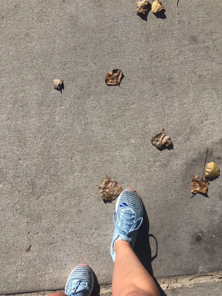 alyssa_m_muto's tweet photo. Podcasts queued up and ready for my long run. #voicesinmyhead #zenspace #letsdothis2020 https://t.co/9al9ytJSNn
