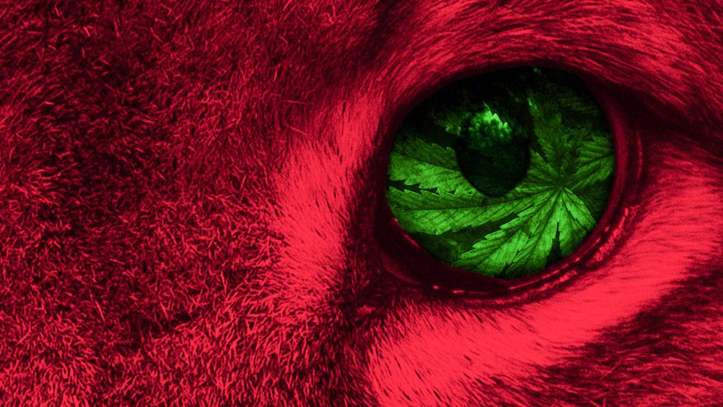 Resistance Is Useful tweet media