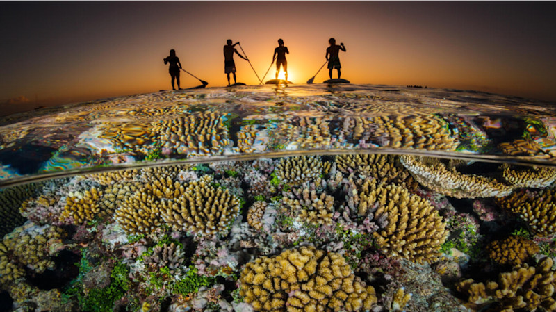 richardbranson's tweet photo. Interesting to read how @CoralVitaReefs are growing resilient corals 50x faster to restore dying reefs and to rebuild after Hurricane Dorian: https://t.co/eLTjNTArWq @oceanunite #ReadByRichard https://t.co/6pDqJ2ySye