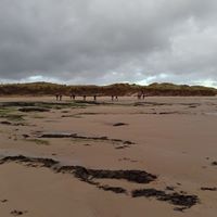 Strollswithpole's tweet photo. A beautiful split distance walk at Cresswell Beach. Half of the group walked 4.5 mile and the other group 9 mile.
#strollswithpoles #nordicwalking #BritNW #NNTA #NordicwalkingGB
https://t.co/3tPVX8CLgn https://t.co/KXAHlg5dFU