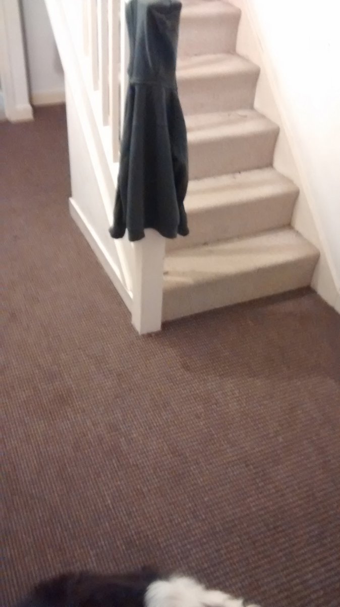 Complete Country Flooring tweet media
