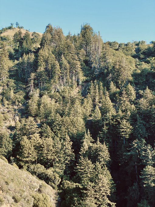 Get outside today! It&rsquo;s beautiful! https://t.co/zKIRvzxh4A<a href="/tag/wherestylernixon"class="tags"><span>#wherestylernixon</span></a>