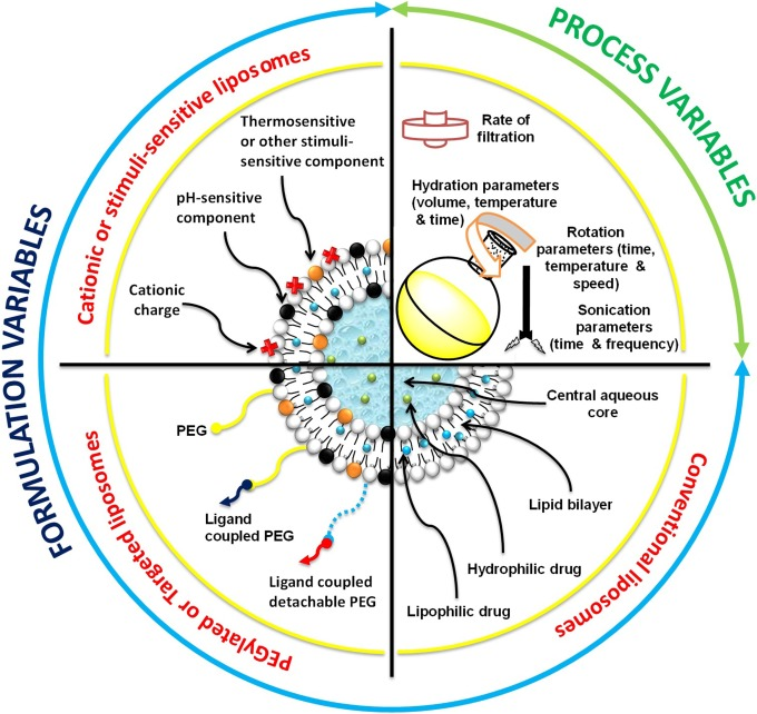 NotTheMoma2's tweet photo. $MILV Did you know Liposomes are already here? https://t.co/LAyuN8xerb