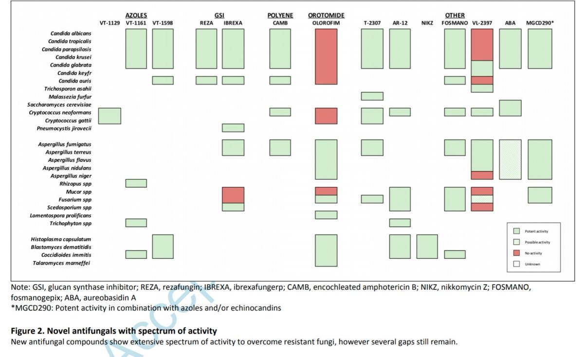 Antibiotic Steward Bassam Ghanem 🅱️C🆔🅿️🌟 (@absteward) on Twitter photo NEW🔥🔥Review Article in OFID <a href="/arauseomd/">Adriana Rauseo</a> <a href="/AriellaStudies/">Ariella Coler-Reilly🏳️🌈</a> <a href="/FungalDoc/">FungalDoc: moved to bluesky</a>
Hope on the Horizon:Novel Fungal Treatments in Development
All the new "weird" antifungals in one place. #IDTwitter <a href="/TMcCarty2010/">Todd McCarty 💊🐉👨⚕️</a> <a href="/ISHAM_Mycology/">ISHAM</a> <a href="/CornelyOliver/">Oliver Cornely</a> <a href="/MSG_ERC/">MSGERC</a> <a href="/eurconfmedmycol/">ECMM</a>
academic.oup.com/ofid/advance-a… NEW🔥🔥Review Article in OFID <a href="/arauseomd/">Adriana Rauseo</a> <a href="/AriellaStudies/">Ariella Coler-Reilly🏳️🌈</a> <a href="/FungalDoc/">FungalDoc: moved to bluesky</a>
Hope on the Horizon:Novel Fungal Treatments in Development
All the new "weird" antifungals in one place. #IDTwitter <a href="/TMcCarty2010/">Todd McCarty 💊🐉👨⚕️</a> <a href="/ISHAM_Mycology/">ISHAM</a> <a href="/CornelyOliver/">Oliver Cornely</a> <a href="/MSG_ERC/">MSGERC</a> <a href="/eurconfmedmycol/">ECMM</a>
academic.oup.com/ofid/advance-a…