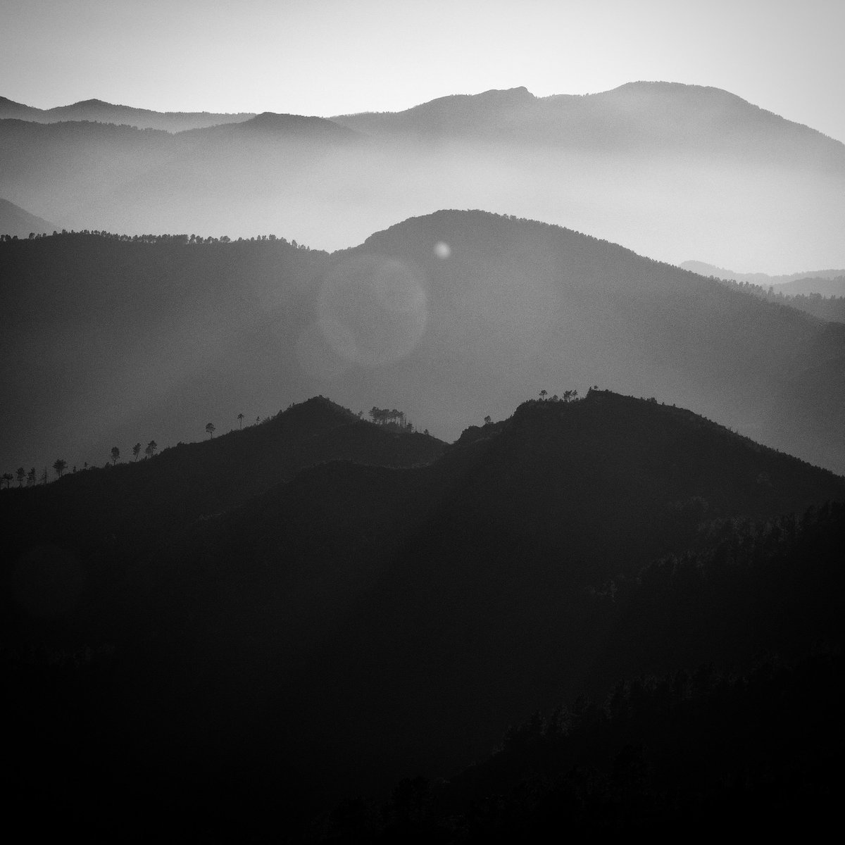 Lerefs143_'s tweet photo. Les Cévennes 👀 
.
#blackandwhite #photooftheday #photography #landscape #bnwphotography #nikon #lerefs https://t.co/oxgi7lCZy2