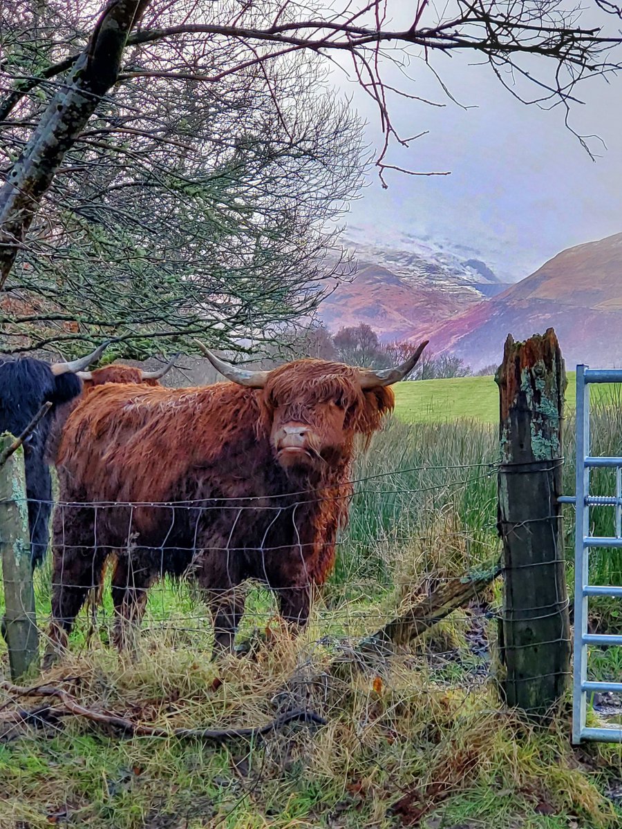 Susan Pazera ✈️🌎 tweet media